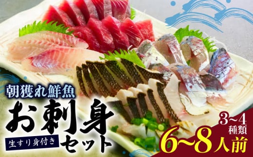 朝どれ地魚３～４種類 6~8人前 お刺身セット 生すり身付き(Ｂ) YS004
