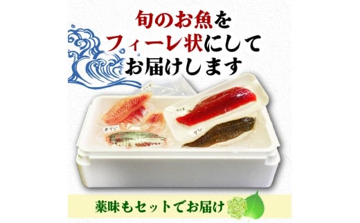 朝どれ地魚３～４種類 6~8人前 お刺身セット 生すり身付き(Ｂ) YS004