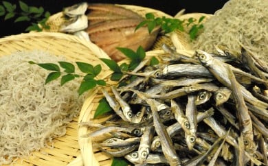 須崎 の 漁師めし ご飯のお供 ボリューム セット 詰め合わせ 3点 (かちりちりめん ･シラス･イワシの丸干し) MS002