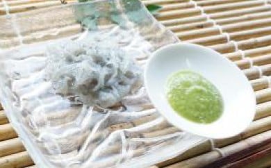 高知県産 ドロメ （ 生 シラス ） 葉にんにく たれ セット 5 セット どろめ 刺身 特製タレ付 葉 にんにく ポン酢 ソース 土佐 料理 産地直送 高知県 須崎市 MS005