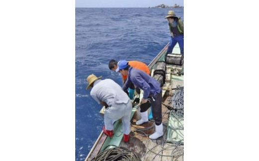 ピンク珊瑚使用 108珠本連数珠 房正絹灰桜 TP049