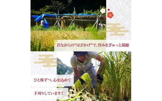 邀ウ 莉、蜥7蟷エ 譁ー邀ウ 阮ォ繧狗・樊ァ倥ョ縺顔アウ 縺顔アウ 繝悶Ξ繝ウ繝臥アウ 邵∬オキ邀ウ 螂臥エ咲アウ 逋ス邀ウ 3蜷 縺薙a 繧ウ繝。 縺翫%繧 縺秘」ッ 縺斐ッ繧 縺願ゥヲ縺 蟆鷹 蟶悟ー醍アウ 鬥吶j邀ウ 雍育ュ 邵∬オキ迚ゥ 蜿鈴ィ 縺顔・昴> 莠コ豌 逾磯。 蝠螢イ郢∫屁 螳カ蜀螳牙ィ 莠皮ゥ雎顔ゥ」 髯仙ョ夂アウ 迚ケ蛻・譬ス蝓ケ邀ウ 霎イ阮ャ荳堺スソ逕ィ 鬮倡衍逵 鬆亥エ主ク UB043