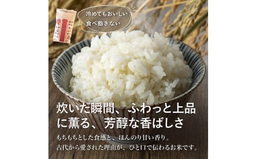 邀ウ 莉、蜥7蟷エ 譁ー邀ウ 阮ォ繧狗・樊ァ倥ョ縺顔アウ 縺顔アウ 繝悶Ξ繝ウ繝臥アウ 邵∬オキ邀ウ 螂臥エ咲アウ 逋ス邀ウ 3蜷 縺薙a 繧ウ繝。 縺翫%繧 縺秘」ッ 縺斐ッ繧 縺願ゥヲ縺 蟆鷹 蟶悟ー醍アウ 鬥吶j邀ウ 雍育ュ 邵∬オキ迚ゥ 蜿鈴ィ 縺顔・昴> 莠コ豌 逾磯。 蝠螢イ郢∫屁 螳カ蜀螳牙ィ 莠皮ゥ雎顔ゥ」 髯仙ョ夂アウ 迚ケ蛻・譬ス蝓ケ邀ウ 霎イ阮ャ荳堺スソ逕ィ 鬮倡衍逵 鬆亥エ主ク UB043