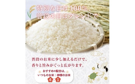 邀ウ 莉、蜥7蟷エ 譁ー邀ウ 阮ォ繧狗・樊ァ倥ョ縺顔アウ 縺顔アウ 繝悶Ξ繝ウ繝臥アウ 邵∬オキ邀ウ 螂臥エ咲アウ 逋ス邀ウ 3蜷 縺薙a 繧ウ繝。 縺翫%繧 縺秘」ッ 縺斐ッ繧 縺願ゥヲ縺 蟆鷹 蟶悟ー醍アウ 鬥吶j邀ウ 雍育ュ 邵∬オキ迚ゥ 蜿鈴ィ 縺顔・昴> 莠コ豌 逾磯。 蝠螢イ郢∫屁 螳カ蜀螳牙ィ 莠皮ゥ雎顔ゥ」 髯仙ョ夂アウ 迚ケ蛻・譬ス蝓ケ邀ウ 霎イ阮ャ荳堺スソ逕ィ 鬮倡衍逵 鬆亥エ主ク UB043