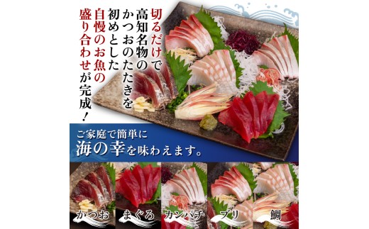 刺身 盛り合わせ 5種 《須崎市》 セット 小分け 個包装 小分けパック 地魚 天然魚 冷凍 冷凍発送 新鮮 食べ比べ 600g カルパッチョ 海鮮丼 お茶漬け 離島 刺身盛り 刺身盛り合わせ 刺身セットYI013