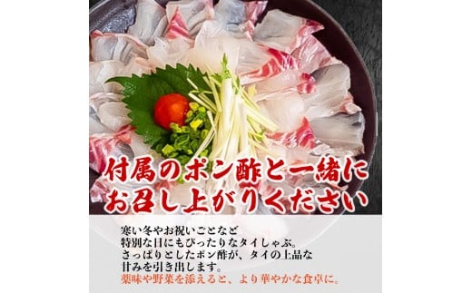 タイ しゃぶしゃぶ タイしゃぶ スライス 4パック  新鮮 国産 鰤 約 840g 以上 たい セット 冷凍 しゃぶ 鯛 お鍋 年末 年始 大晦日 正月 高知県 須崎市 高知 YI017