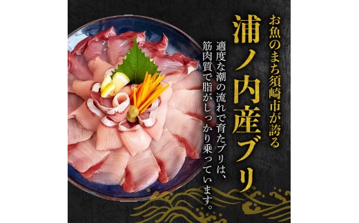  ブリ しゃぶしゃぶ ブリしゃぶ スライス 6パック 新鮮 国産 鰤 約 1.2kg 1260g 以上 ぶり セット 冷凍 しゃぶ 鰤 お鍋 年末 年始 大晦日 正月 高知県 須崎市 高知 YI016