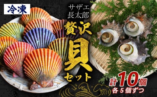 サザエ 長太郎 10個 セット ヒオウギ貝 サザエ刺身 詰め合わせ 冷凍 貝セット 個包装 簡単調理 おかず おつまみ BBQ 浜焼き 壺焼き ギフト 贈答 歳暮 中元 産地直送 貝 高知県 須崎市