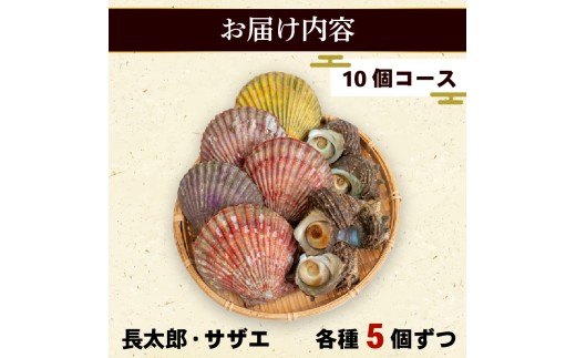 サザエ 長太郎 10個 セット ヒオウギ貝 サザエ刺身 詰め合わせ 冷凍 貝セット 個包装 簡単調理 おかず おつまみ BBQ 浜焼き 壺焼き ギフト 贈答 歳暮 中元 産地直送 貝 高知県 須崎市 YI010