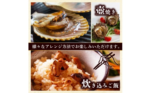 サザエ 長太郎 10個 セット ヒオウギ貝 サザエ刺身 詰め合わせ 冷凍 貝セット 個包装 簡単調理 おかず おつまみ BBQ 浜焼き 壺焼き ギフト 贈答 歳暮 中元 産地直送 貝 高知県 須崎市 YI010