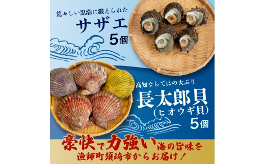 サザエ 長太郎 10個 セット ヒオウギ貝 サザエ刺身 詰め合わせ 冷凍 貝セット 個包装 簡単調理 おかず おつまみ BBQ 浜焼き 壺焼き ギフト 贈答 歳暮 中元 産地直送 貝 高知県 須崎市 YI010