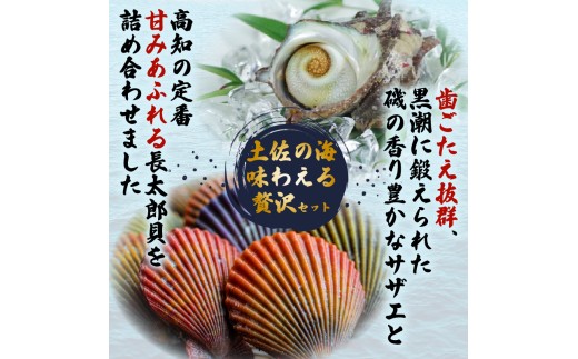サザエ 長太郎 10個 セット ヒオウギ貝 サザエ刺身 詰め合わせ 冷凍 貝セット 個包装 簡単調理 おかず おつまみ BBQ 浜焼き 壺焼き ギフト 贈答 歳暮 中元 産地直送 貝 高知県 須崎市 YI010
