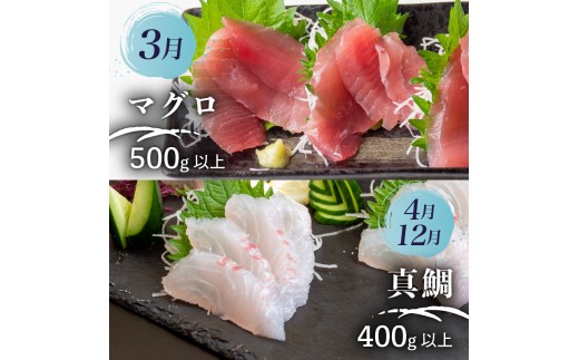 【須崎 の 鮮魚 定期便 】旬 の 刺身 定期便 12回 コース 野島水産 が お届け！ | 下処理済み かつお かつおのたたき 藁焼き タタキ 鯛 真鯛 マグロ 牡蠣 しらす 伊勢海老 セット 高知 産地直送  たい まだい 高知県 須崎市 NS11000_2x