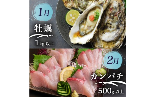 【須崎 の 鮮魚 定期便 】旬 の 刺身 定期便 12回 コース 野島水産 が お届け！ | 下処理済み かつお かつおのたたき 藁焼き タタキ 鯛 真鯛 マグロ 牡蠣 しらす 伊勢海老 セット 高知 産地直送  たい まだい 高知県 須崎市 NS11000_2x