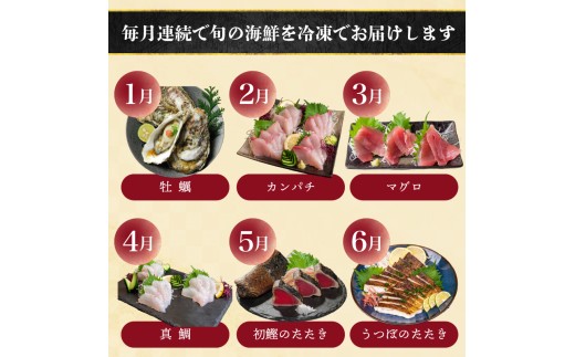 【須崎 の 鮮魚 定期便 】旬 の 刺身 定期便 12回 コース 野島水産 が お届け！ | 下処理済み かつお かつおのたたき 藁焼き タタキ 鯛 真鯛 マグロ 牡蠣 しらす 伊勢海老 セット 高知 産地直送  たい まだい 高知県 須崎市 NS11000_2x
