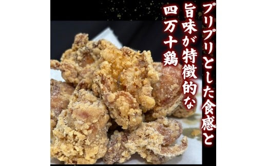 鮓剰i 繧ゅb 繧縺ュ 1.2kg 8莠コ蜑 繝悶Λ繝ウ繝蛾カ 蝗帑ク蜊鮓 迚ケ陬ス縺溘l貍ャ縺 螟ァ螳ケ驥 繝倥Ν繧キ繝シ 繧サ繝繝 蜚先恕縺 縺九i謠壹£ 縺九i縺ゅ£逕ィ 鬮倡衍逵 鬆亥エ主ク