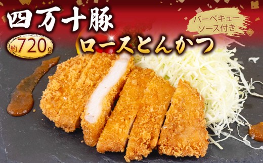 豚肉 とんかつ 720g 6人前 ブランド豚 四万十ポークカツ 豚カツ バーベキューソース付き 高知県 須崎市 ME004_2x