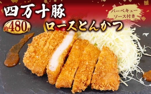 豚肉 とんかつ 480g 4人前 ブランド豚 四万十ポークカツ 豚カツ バーベキューソース付き 高知県 須崎市 ME079