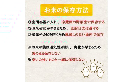 【早期予約】 【6回定期便】 数量限定 新米 コシヒカリ 計30kg 令和7年 5kg×6回 白米 精米 米 こしひかり ブランド米 6ヶ月 定期便 国産 高知県 須崎 しんじょう君 産地直送 NF2000