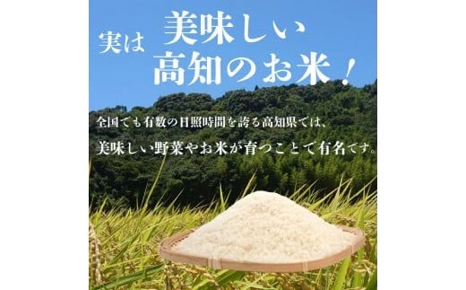 【早期予約】 【6回定期便】 数量限定 新米 コシヒカリ 計30kg 令和7年 5kg×6回 白米 精米 米 こしひかり ブランド米 6ヶ月 定期便 国産 高知県 須崎 しんじょう君 産地直送 NF2000