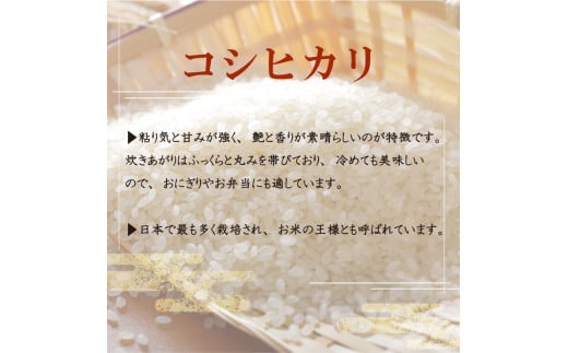 【早期予約】 【6回定期便】 数量限定 新米 コシヒカリ 計30kg 令和7年 5kg×6回 白米 精米 米 こしひかり ブランド米 6ヶ月 定期便 国産 高知県 須崎 しんじょう君 産地直送 NF2000