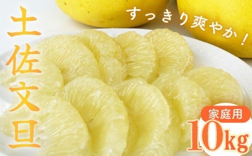 【2026年2月中旬より順次発送】【訳あり】 文旦 家庭用 10kg 高知 L ～ 2L サイズ 期間限定 早期予約 受付中 限定 旬 みかん 土佐文旦 柑橘 果物 フルーツ NF007