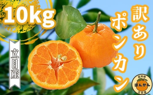 【早期予約開始】 2026年1月中旬より順次発送 ポンカン 訳あり 10kg サイズ混合 家庭用 立目 ブランド 果物 フルーツ 冬 柑橘 2026年 収穫分 みかん 蜜柑 デザート 高知県 須崎市 TMS005