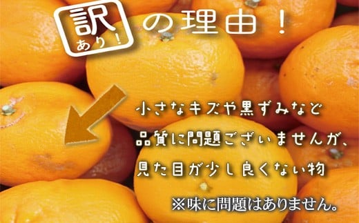 ãæ©æäºçŽéå§ã 2026幎1æäžæ¬ããé æ¬¡çºé ãã³ã«ã³ èš³ãã 10kg ãµã€ãºæ··å å®¶åºçš ç«ç® ãã©ã³ã æç© ãã«ãŒã å¬ ææ© 2026幎 åç©«å ã¿ãã èæ ãã¶ãŒã é«ç¥ç é åŽåž TMS005