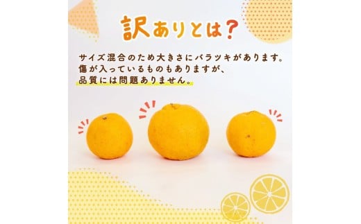 ã æ©æäºçŽéå§ ã ãã³ã«ã³ èš³ãã 10kg 2026幎 1æäžæ¬ããé æ¬¡çºé åç©«å ç¡èŸ²è¬ ãã©ã³ã ãµã€ãºæ··å å®¶åºçš ç«ç®ç£ãœããã ææ© ã¿ãã é«ç¥ç é åŽåž MO005