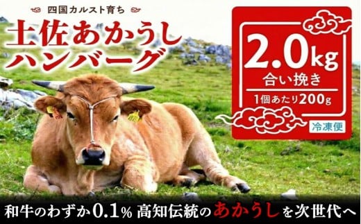 幻の和牛 土佐あかうし ハンバーグ 2kg 200g x 10個 冷凍 四万十ポーク 合い挽き 牛肉 豚肉 あか牛 玉ねぎ 玉葱 個包装 人気ハンバーグ ランキング 神戸牛 松阪牛 近江牛 黒毛和牛 より数が少ない 国産和牛 惣菜 おかず 一万円 10000円 1万円 いちまんえん 冷凍 高知県 須崎市 お惣菜 はんばーぐ 赤牛ハンバーグ あか牛ハンバーグ hannba-gu SNM033