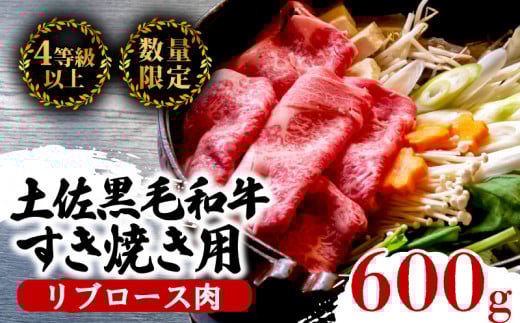 土佐 黒毛 和牛 すき焼き用 600g | 特撰 リブロース肉 最上位等級 A4 A5 最高ランク 贅沢 すきやき スキヤキ用 鍋 焼肉用 小分け 冷凍 国産 牛肉 高知県 須崎 TM007