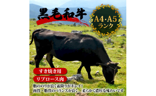 土佐 黒毛 和牛 すき焼き用 600g | 特撰 リブロース肉 最上位等級 A4 A5 最高ランク 贅沢 すきやき スキヤキ用 鍋 焼肉用 小分け 冷凍 国産 牛肉 高知県 須崎 TM007