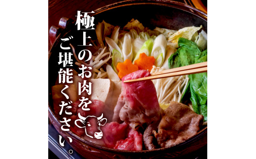 土佐 黒毛 和牛 すき焼き用 600g | 特撰 リブロース肉 最上位等級 A4 A5 最高ランク 贅沢 すきやき スキヤキ用 鍋 焼肉用 小分け 冷凍 国産 牛肉 高知県 須崎 TM007