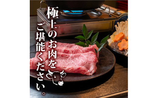 土佐 黒毛 和牛 しゃぶしゃぶ用 500g | 特撰 リブロース肉 最上位等級 A4 A5 最高ランク 贅沢 しゃぶしゃぶ 鍋 スライス 焼肉用 小分け 冷凍 国産 牛肉 高知県 須崎 TM008