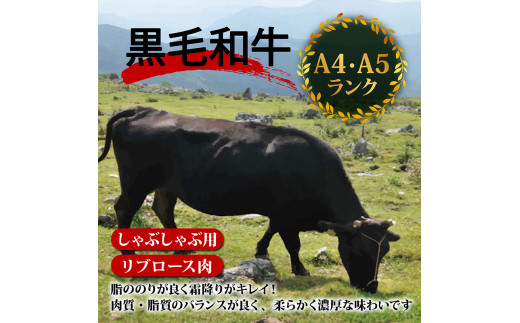 土佐 黒毛 和牛 しゃぶしゃぶ用 500g | 特撰 リブロース肉 最上位等級 A4 A5 最高ランク 贅沢 しゃぶしゃぶ 鍋 スライス 焼肉用 小分け 冷凍 国産 牛肉 高知県 須崎 TM008