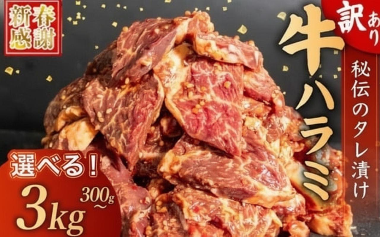 【 新春感謝 】 選べる 訳あり 牛ハラミ 秘伝のタレ タレ漬け 900g ( 300g × 3パック ) ハンバーグ 10個 (200gx10個) セット 四万十 ポーク 高評価 小分け 牛肉 味付け 肉 牛 豚 こだわり 個包装 使いやすい 冷凍 容量選択可 簡単調理 hannba-gu 四万十ポーク 便利 焼くだけ ご飯 米 焼肉 焼き肉 BBQ バーベキュー アウトドア 醤油 職人 伝統 家庭用 おすすめ 高知県須崎市