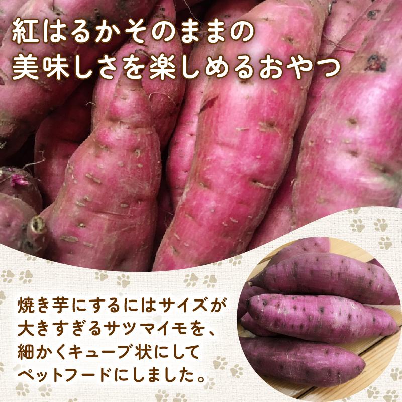 【お試し】 ペットフード さつまいも キューブ 50g お試し 犬用 わんちゃん ペット ご飯 おやつ 芋 さつま芋 サツマイモ 選べる 容量 国産 高知 須崎 TJ022
