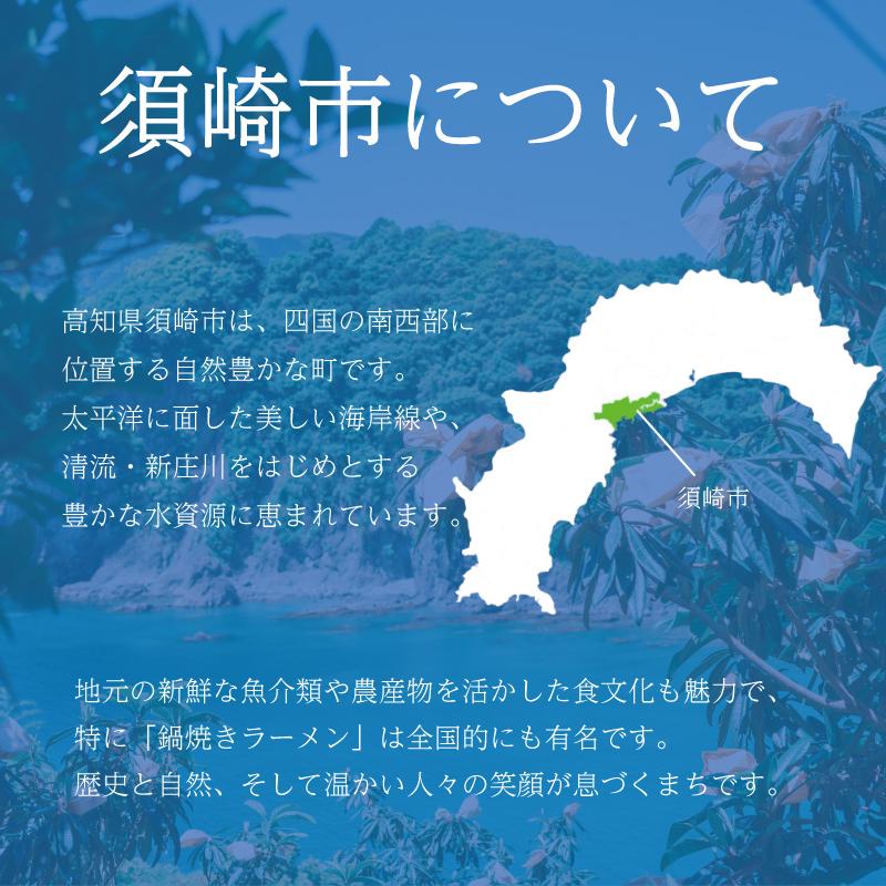 鯛の藁焼き 300g タタキ 国産 タイ 鯛 わら焼き 藁焼き 熟成 鮮度 抜群 郷土料理 産地直送 冷凍 おつまみ おかず 惣菜 晩ごはん 加工品 刺身 魚 高知県 須崎市 NS034