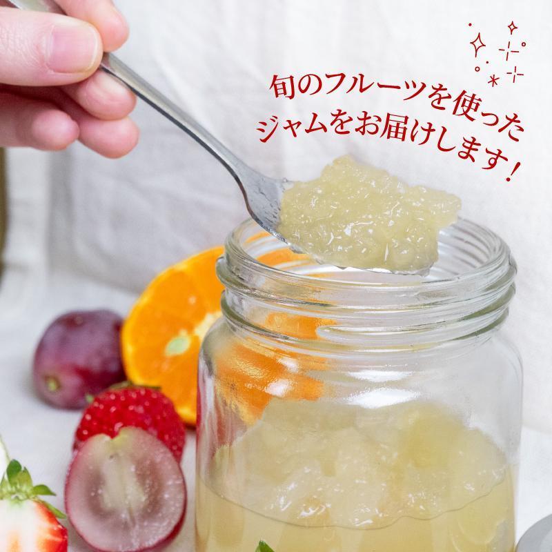 【10月発送】季節の果実ジャム 3種（各100g） パック セット ジャム じゃむ 季節の果実 果物 詰め合わせ フルーツジャム 国産 6000円 6千円 高知県 須崎市 TJ0071