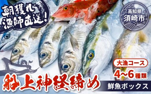 【 船上 神経締め 鮮魚 ボックス 】朝獲れ 直送 大漁コース (2026年8月出荷) 冷蔵 魚種お任せ 水揚げ 海鮮 魚介 産地直送 新鮮 天然 魚 詰め合わせ