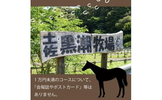 競走馬 支援 5000万円 コース 黒潮友馬会応援 競馬 サラブレッド 引退 高知県 須崎市