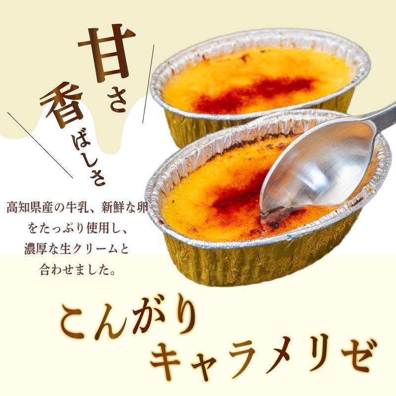 お菓子屋さんの お菓子 定期便 12か月 毎月 お届け ｜ お楽しみ 詰め合わせ セット スコーン ティラミス クリームブリュレ ブリュレ アイス ゼリー バスクチーズケーキ 杏仁豆腐 高知県 須崎市