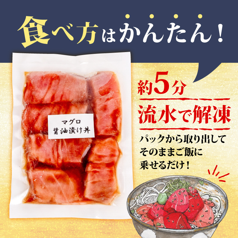 海鮮丼4種セット 各3パック 海鮮丼 海鮮丼セット サーモン マグロ イカ カジキマグロ キハダマグロ 海鮮 漬け お茶漬け 鮭 惣菜 冷凍 真空パック 小分け パック ご飯 晩御飯 刺身 漬け丼の具 漬け丼 ランキング 高知県 須崎市
