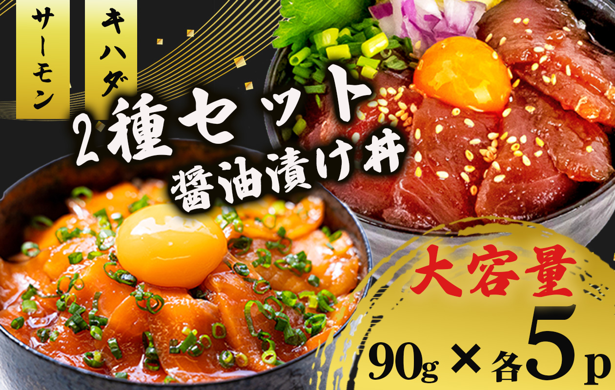 2種 醤油 漬け丼 90g×各5パック サーモン キハダマグロ 鮪 まぐろ 鮭 さけ シャケ 切り身 特製 づけ丼 丼 海鮮丼 刺し身 刺身 切身 手軽 便利 ご飯のお供 簡単調理 時短 海鮮 魚介 惣菜 冷凍 小分け 大容量 ふるさと納税 人気 ふるさと納税漬け丼 ふるさと納税海鮮丼 TY086