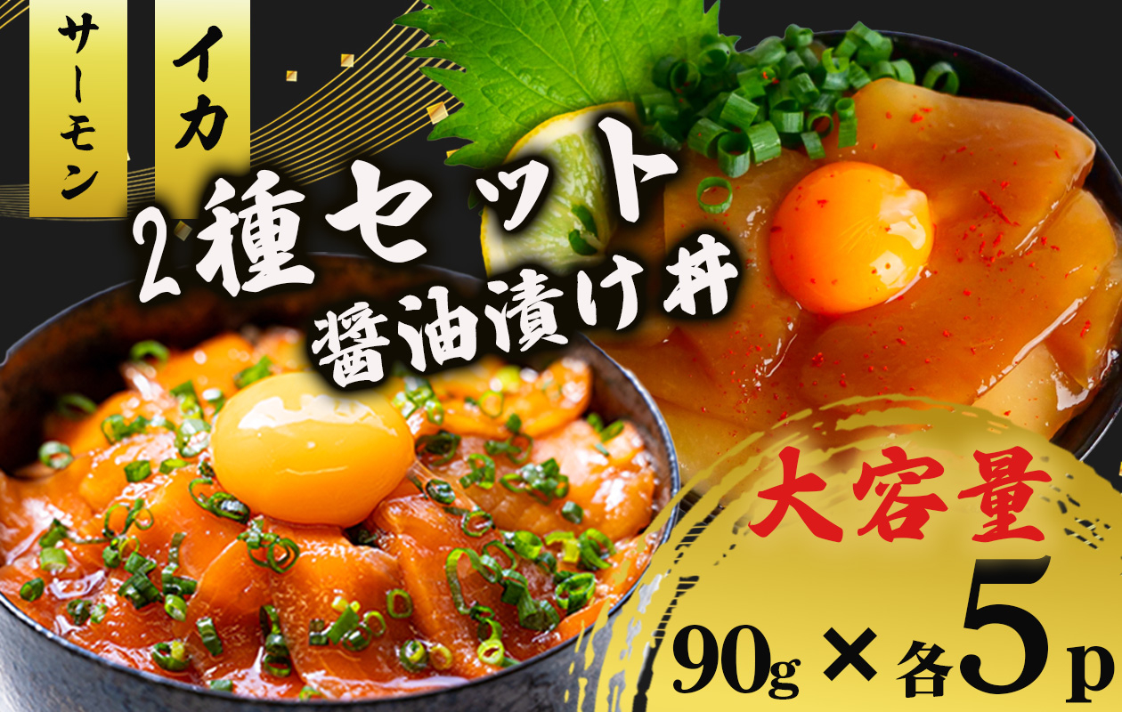 2種 醤油 漬け丼 90g×各5パック サーモン イカ 烏賊 さけ しゃけ 鮭 切り身 特製 づけ丼 丼 海鮮丼 刺し身 刺身 切身 手軽 便利 ご飯のお供 簡単調理 海鮮 魚介 惣菜 冷凍 簡単調理 時短 小分け 大容量 ふるさと納税 人気 ふるさと納税漬け丼 ふるさと納税 海鮮丼