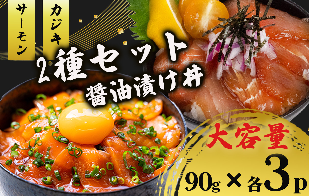 2種 醤油 漬け丼 90g×各3パック サーモン カジキマグロ 鮪 まぐろ 鮭 さけ しゃけ 切り身 特製 づけ丼 丼 海鮮丼 時短 刺し身 刺身 切身 手軽 便利 ご飯のお供 簡単調理 海鮮 魚介 惣菜 冷凍 小分け 大容量 ふるさと納税 人気 ふるさと納税漬け丼 ふるさと納税海鮮丼 TY091