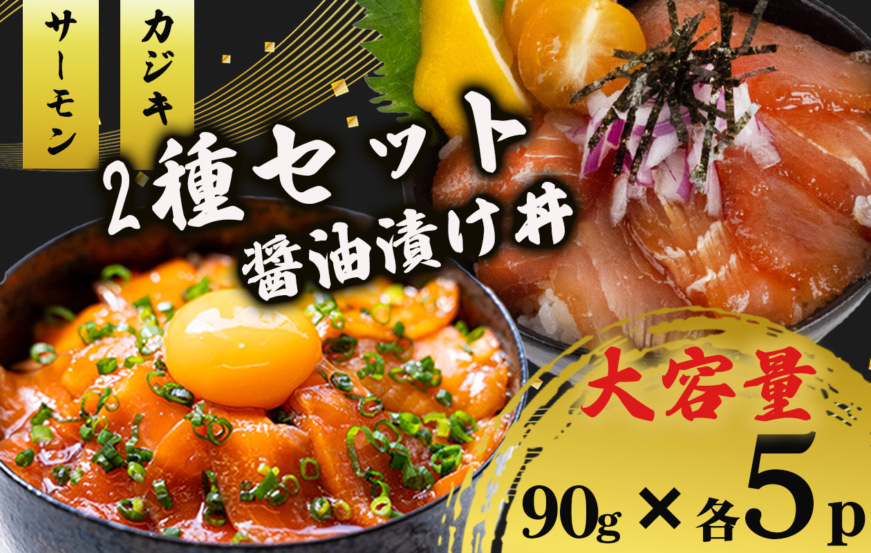 2種 醤油 漬け丼 90g×各5パック サーモン カジキマグロ 鮭 さけ しゃけ 鮪 まぐろ 切り身 特製 時短 づけ丼 丼 海鮮丼 刺し身 刺身 切身 手軽 便利 ご飯のお供 簡単調理 海鮮 魚介 惣菜 冷凍 小分け 大容量 ふるさと納税 人気 ふるさと納税漬け丼 ふるさと納税海鮮丼 TY092