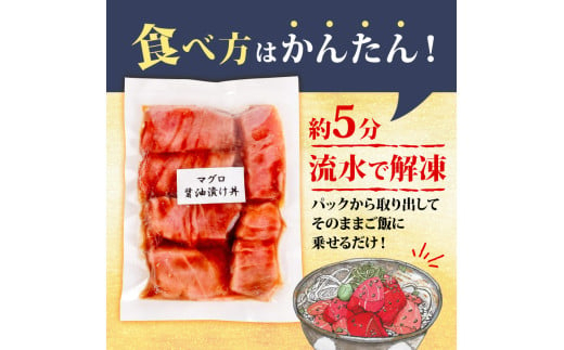 2種 醤油 漬け丼 90g×各5パック サーモン カジキマグロ 鮭 さけ しゃけ 鮪 まぐろ 切り身 特製 時短 づけ丼 丼 海鮮丼 刺し身 刺身 切身 手軽 便利 ご飯のお供 簡単調理 海鮮 魚介 惣菜 冷凍 小分け 大容量 ふるさと納税 人気 ふるさと納税漬け丼 ふるさと納税海鮮丼 TY092