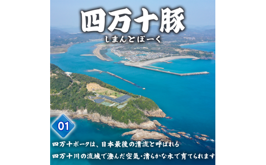 豚肉 とんかつ 480g 4人前 ブランド豚 四万十ポークカツ 豚カツ バーベキューソース付き 高知県 須崎市