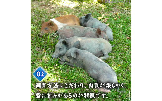 豚肉 とんかつ 720g 6人前 ブランド豚 四万十ポークカツ 豚カツ バーベキューソース付き 高知県 須崎市